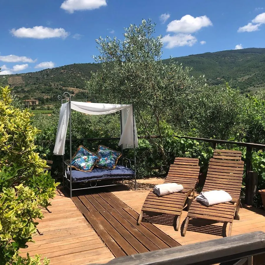 Delizioso E Particolare Casale Con Piscina,Cortona Villa