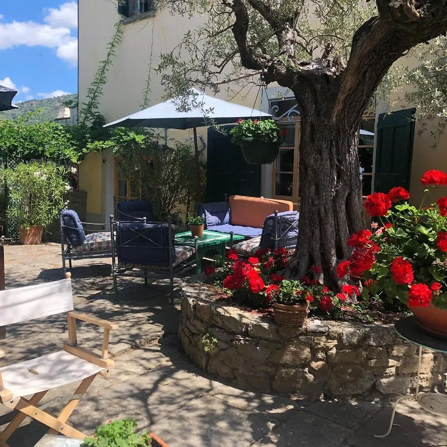 Delizioso E Particolare Casale Con Piscina,Cortona Villa  Cortona